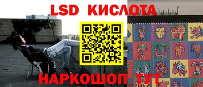 шишки Бузулук