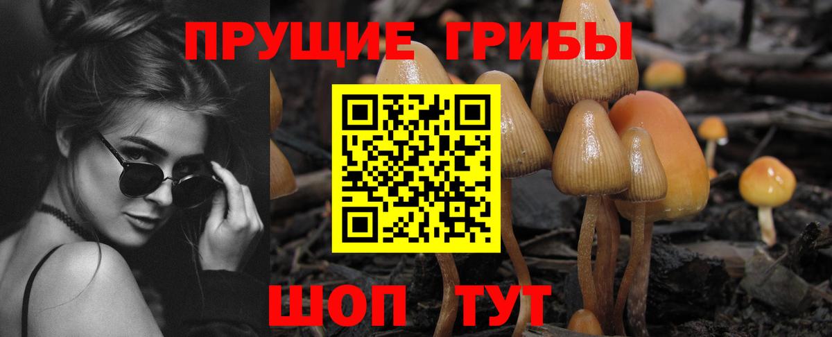 купить  цена  Псилоцибиновые грибы прущие грибы  Вход с VPN  Ликино-Дулёво 